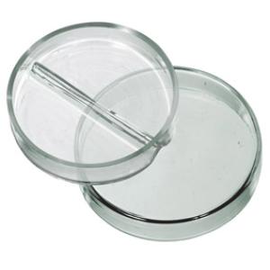 Petridish Glass 1/2 Division 100mm