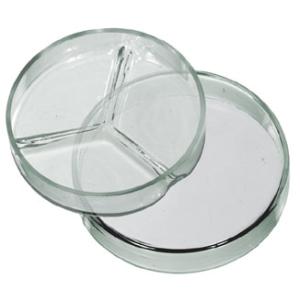 Petri dish Glass 1/3 Division 100mm