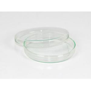 Boîte de Pétri en verre avec couvercle, diamètre 100 mm, hauteur 15 mm